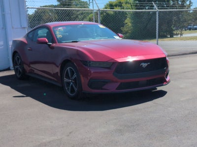2025 Ford Mustang EcoBoost
