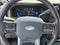 2025 Ford Super Duty F-450 DRW Platinum