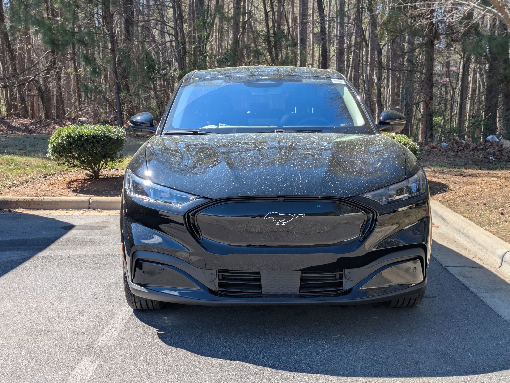 2026 Ford Mustang Mach-E Premium