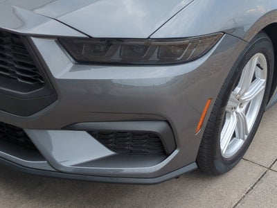 2026 Ford Mustang EcoBoost - Crossroads Courtesy Demo