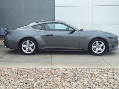 2026 Ford Mustang EcoBoost - Crossroads Courtesy Demo