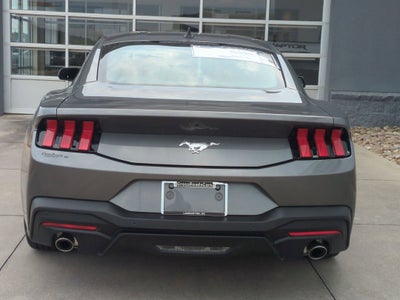 2026 Ford Mustang EcoBoost - Crossroads Courtesy Demo