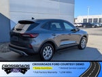 2025 Ford Escape Active - Crossroads Courtesy Demo