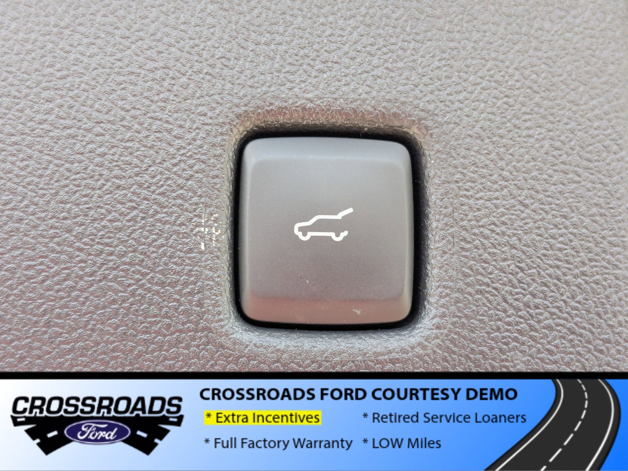 2025 Ford Escape ST-Line - Crossroads Courtesy Demo