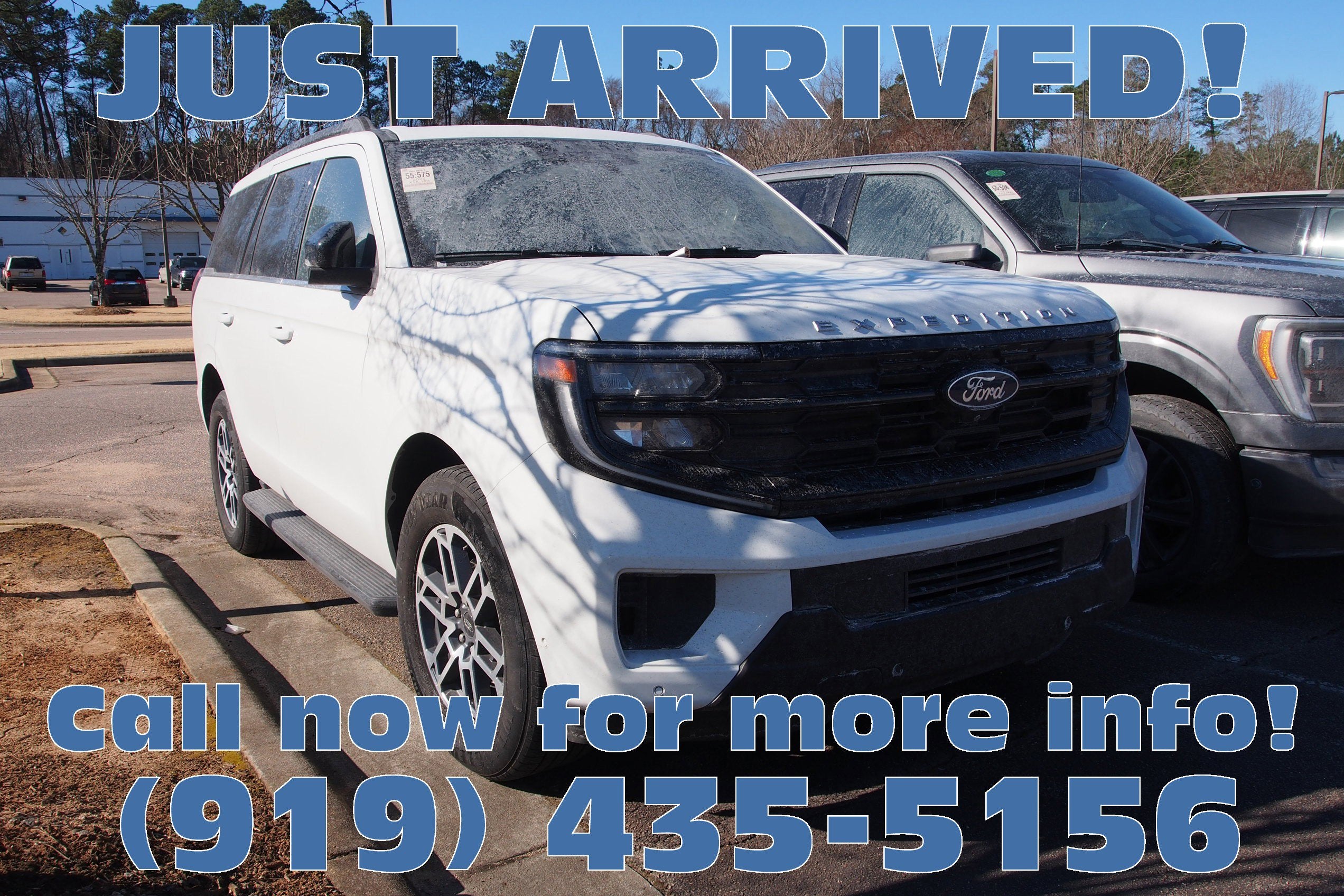 2025 Ford Expedition Active