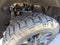 2025 Toyota Tundra 4WD 1794 Edition Hybrid