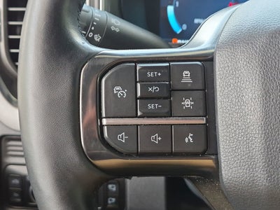 2025 Ford Super Duty F-350 DRW Platinum