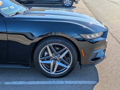 2024 Ford Mustang EcoBoost