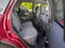 2026 Ford Bronco Sport Badlands - Crossroads Courtesy Demo