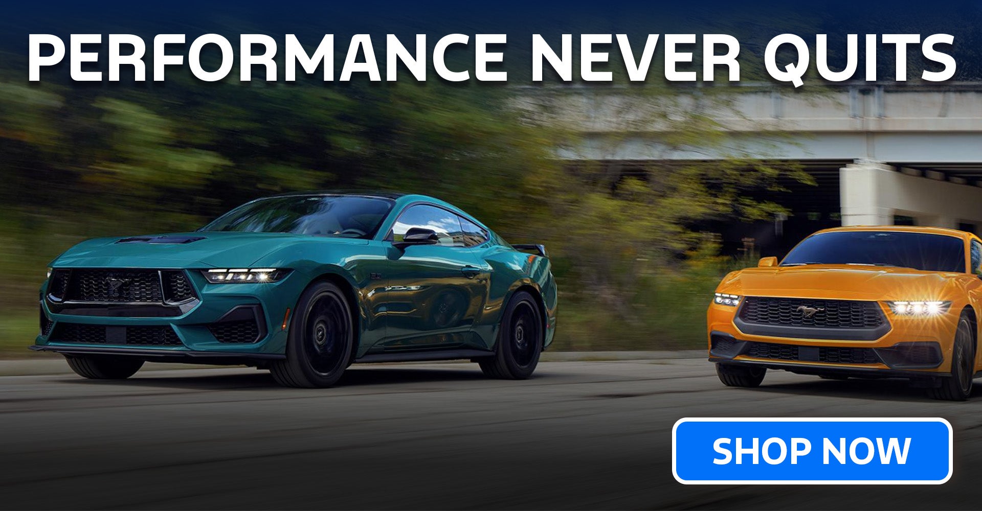 2026 Ford Mustang Canton, NC