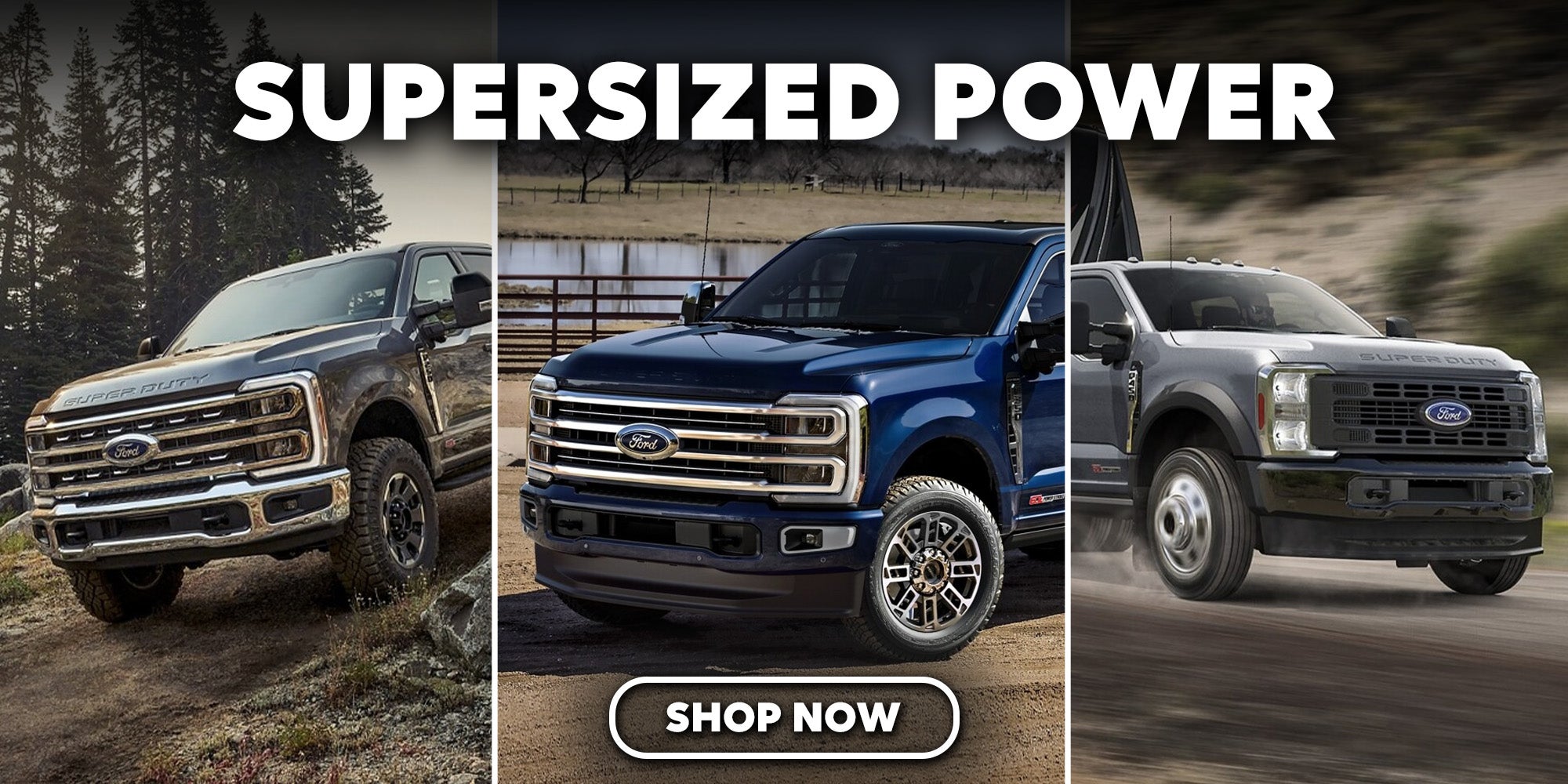 2025 Ford Super Duty Canton NC